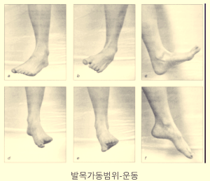 발움직임