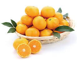 위에 좋은 음식 총정리