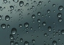 글루타치온 효능