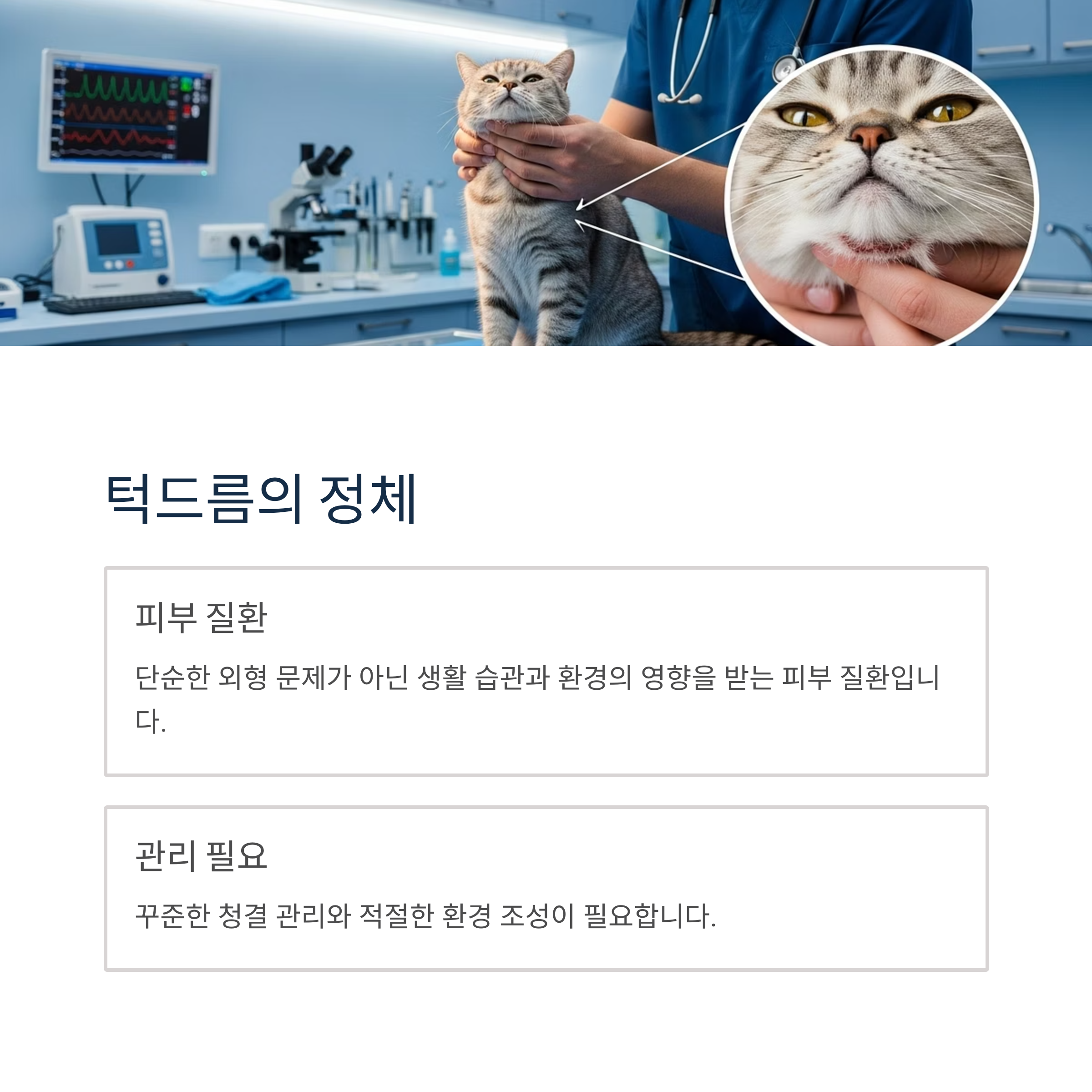 턱드름의 정체