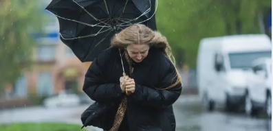 2025년 장기간 및 태풍예보 총정리