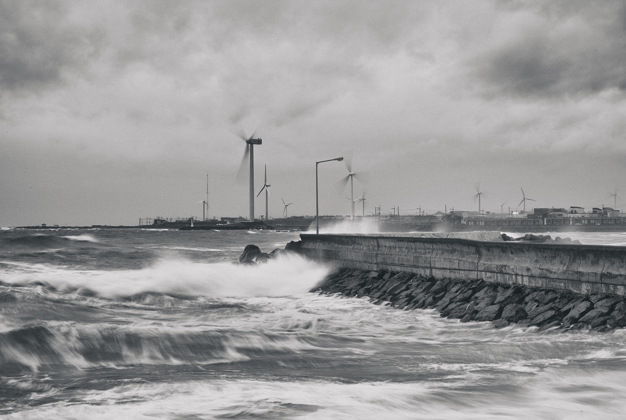 제주도 여행 날씨 체크리스트 관련 사진