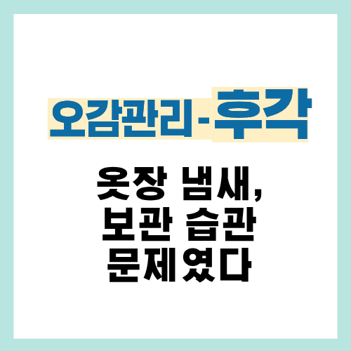 16편. 옷장 냄새 나는 이유와 보관 습관