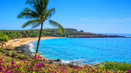 라나이(Lanai)