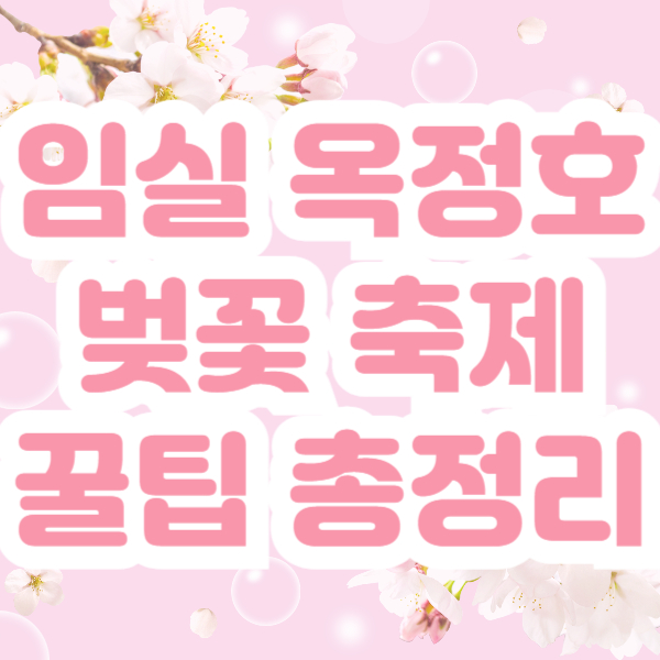 임실 옥정호 벚꽃 축제
