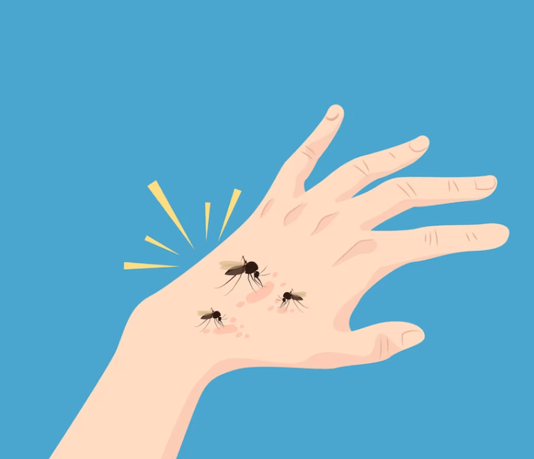 벌에-쏘였을-때