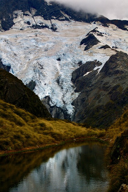 뉴질랜드 오클랜드