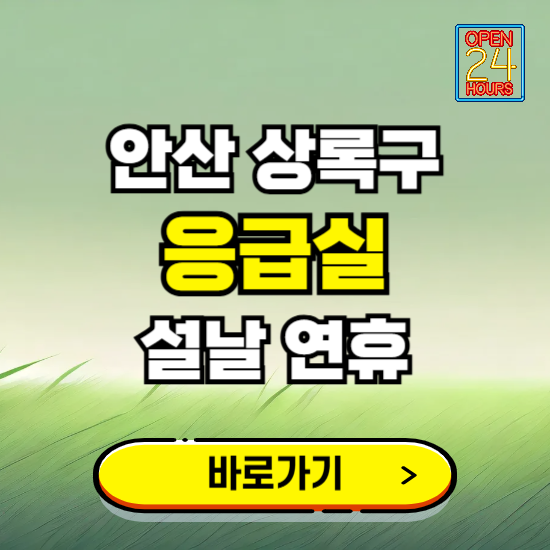 안산시 상록구 설날 연휴 비상진료 응급실 병원 찾기 ❘ 내근처 24시 야간 심야 휴일 가능한 곳