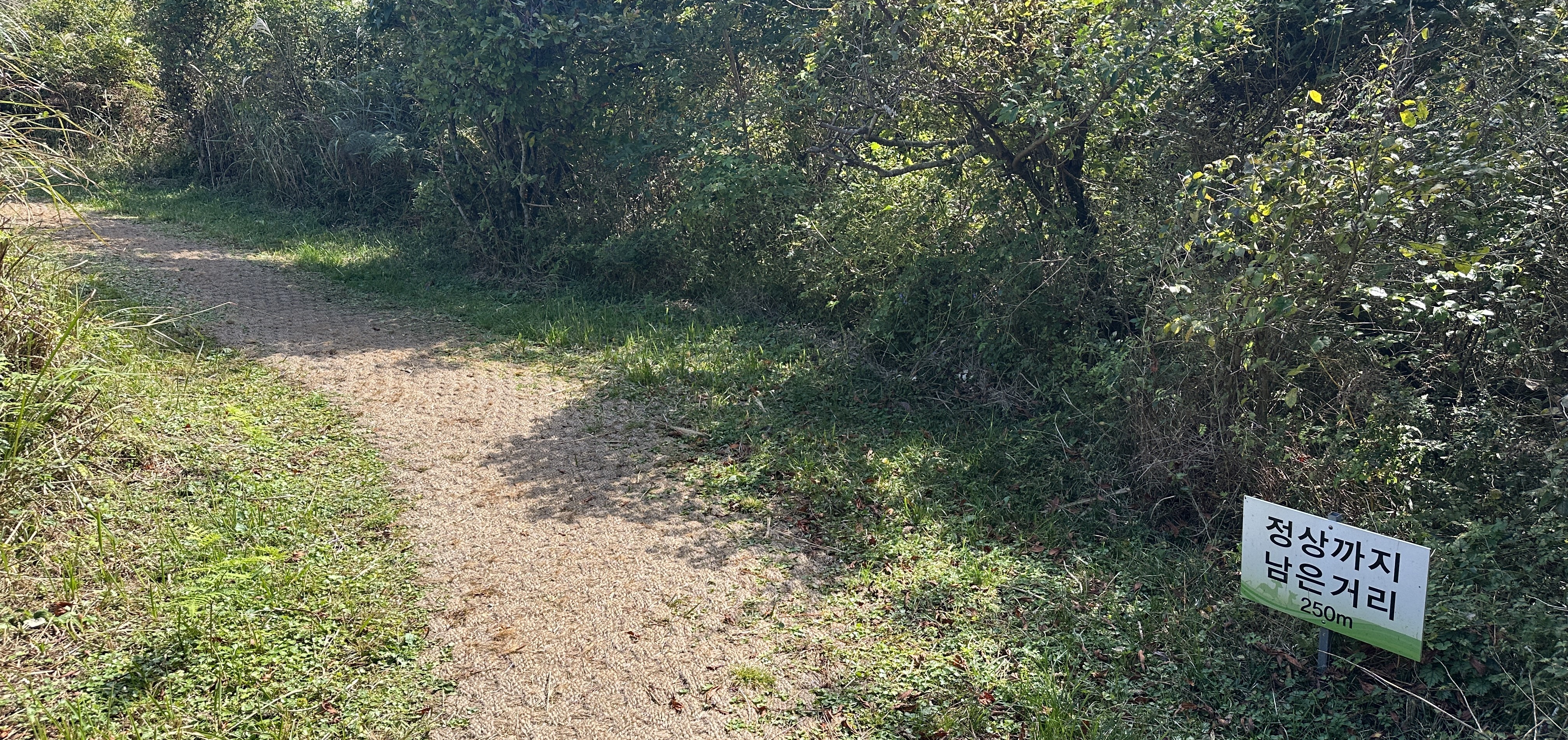 거친오름 탐방로