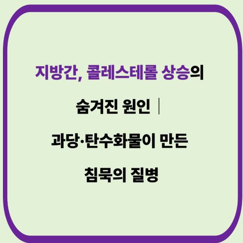 지방간, 콜레스테롤 상승의 숨겨진 원인｜과당&middot;탄수화물이 만든 침묵의 질병