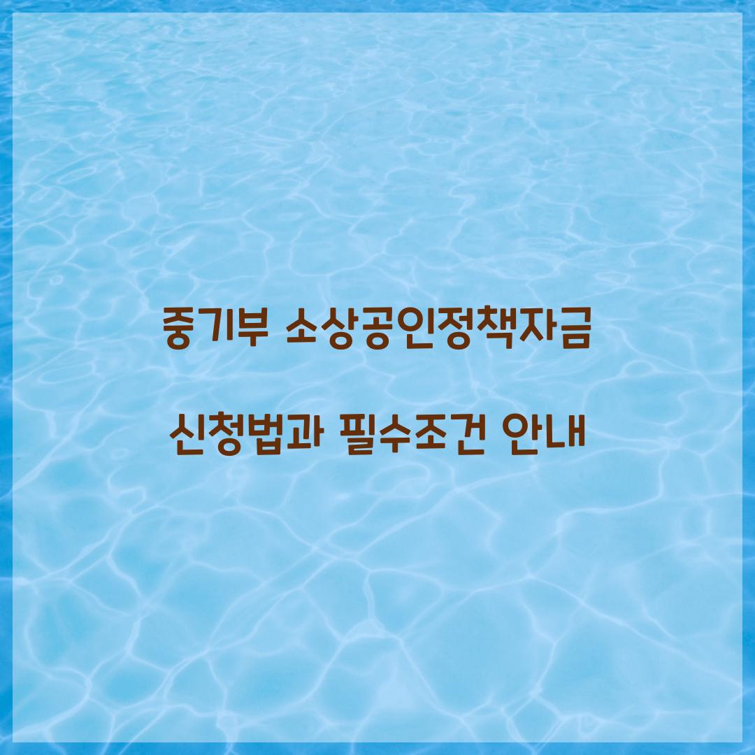 중기부 소상공인정책자금