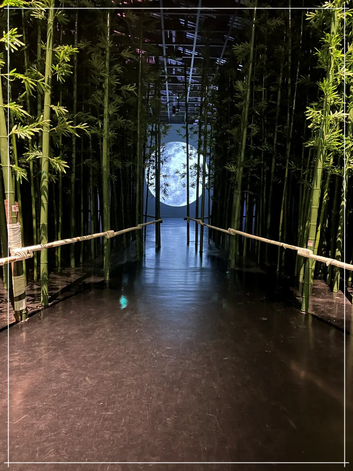 대나무숲 사이로 보름달이 보이는 깜깜한 밤