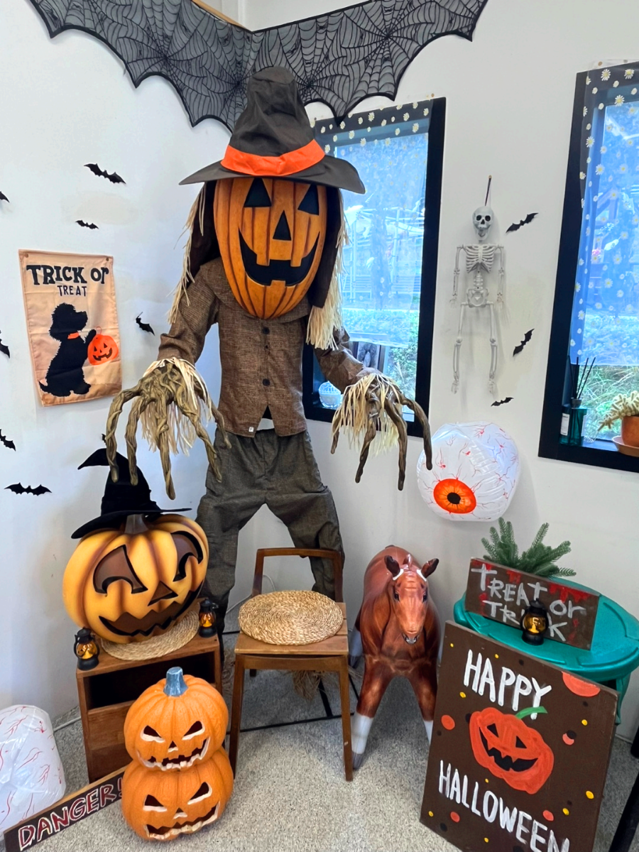 경북 상주 모동목장