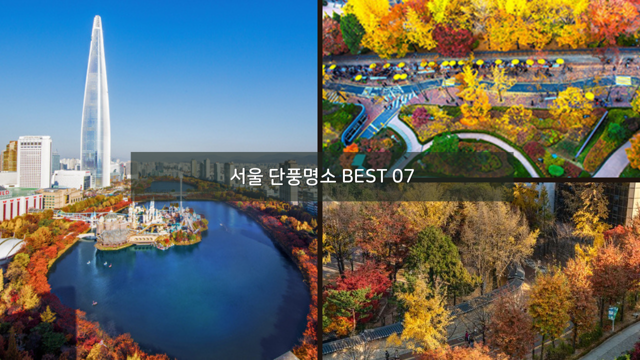 서울 단풍명소 BEST 07 데이트 코스 가족 나들이
