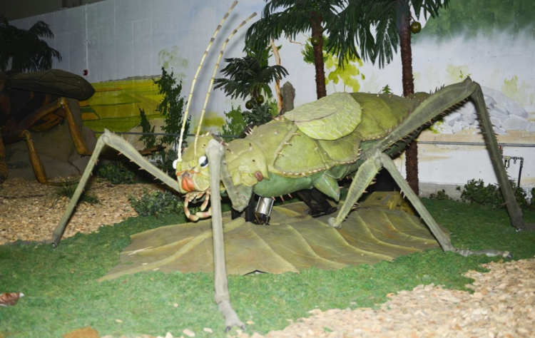 덕평 공룡수목원