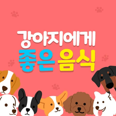 강아지에게 좋은 음식