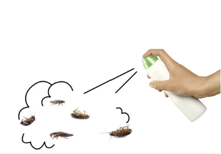 오래된 아파트 바퀴벌레 퇴치방법