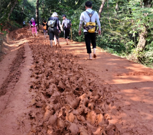 알트태그-걷기 명소 영광 풀무산