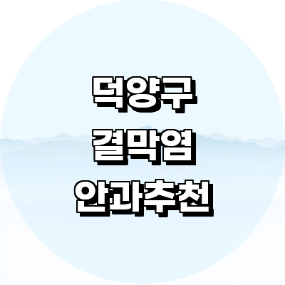 고양 덕양구 안과