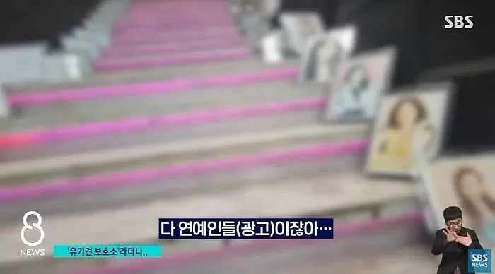 죽은강아지 뱃속 새끼 꺼내 파는 강아지공장&#44; 펫샵의 실체