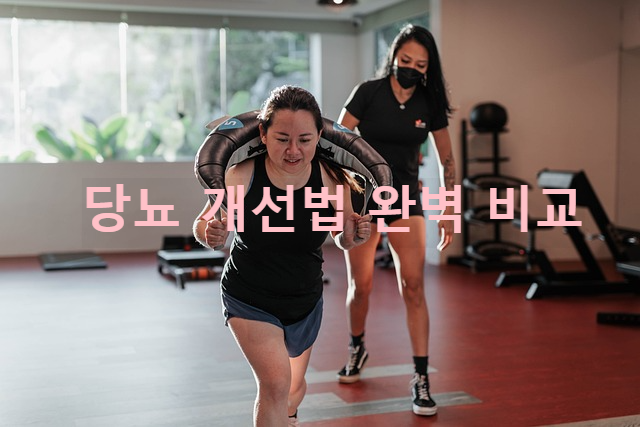 당뇨 개선법 완벽 비교