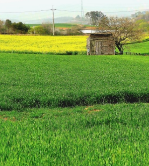 5월에 방문하는 축제 BEST 7