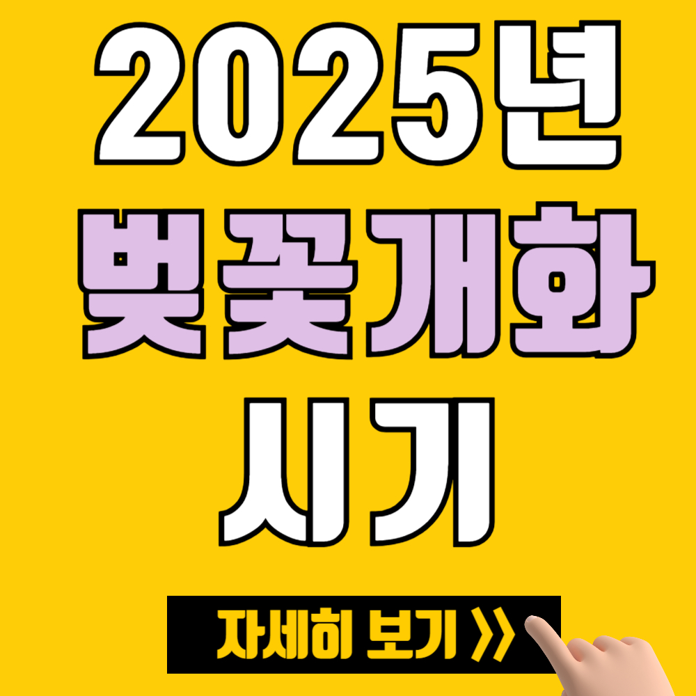 2025년 전국 벚꽃 개화 시기 및 숨겨진 벚꽃 명소 BEST 10