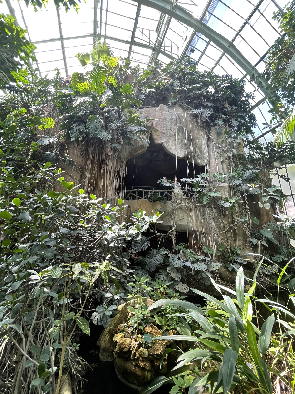 Tropical Rainforest