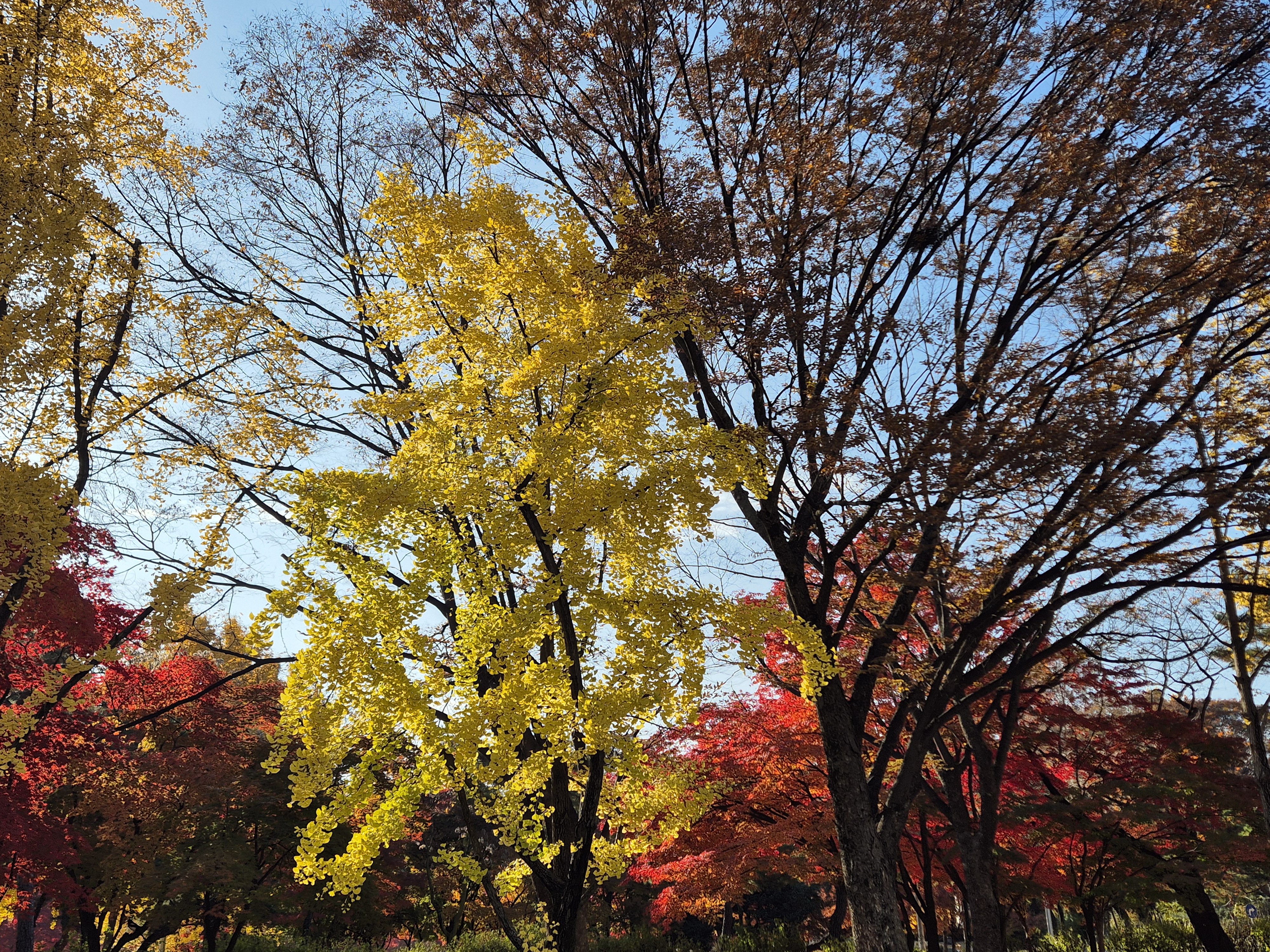 올림픽공원 가을내부풍경