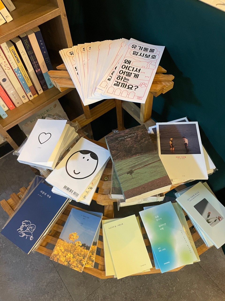 동물책방 정글핌피