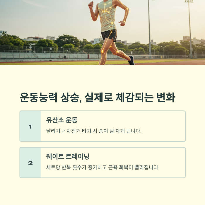 아르기닌 효능 피로회복