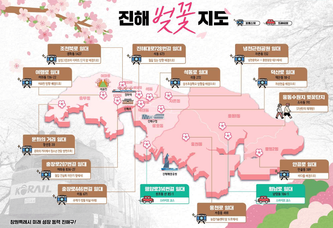 2025 진해 군항제 완벽 가이드