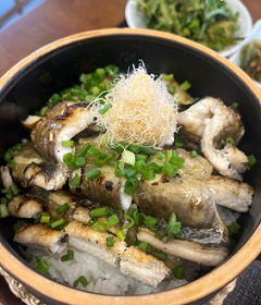 백반