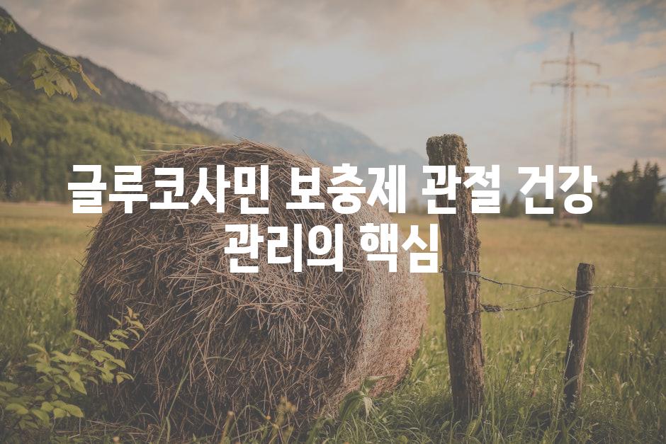 글루코사민 보충제 관절 건강 관리의 핵심