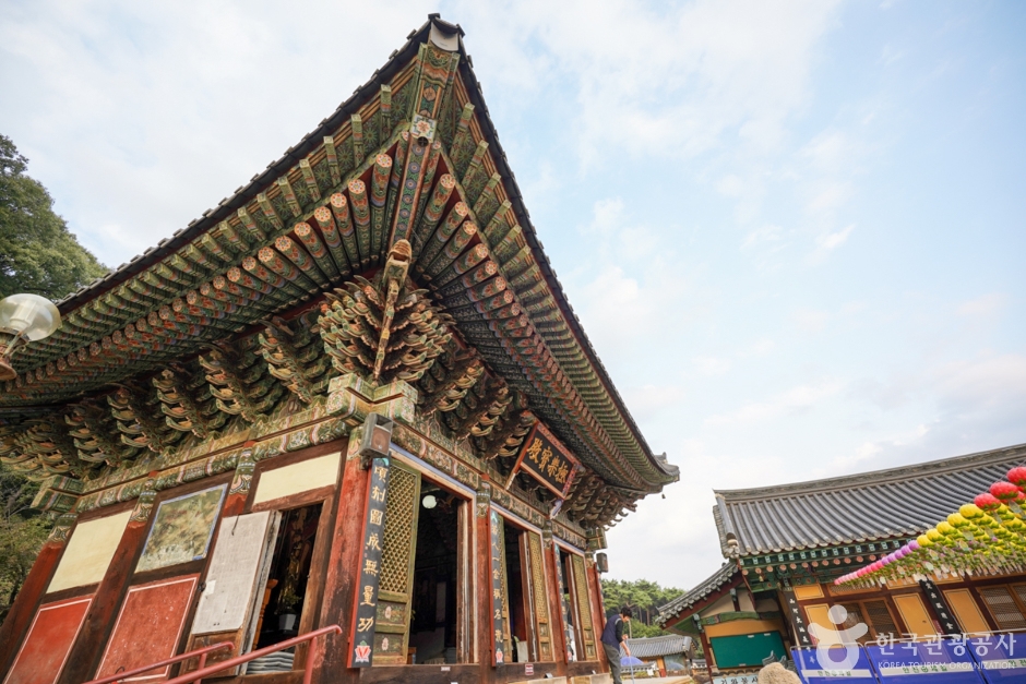 영천 가볼만한곳 BEST 10