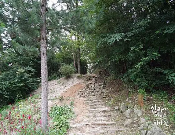 탁사정