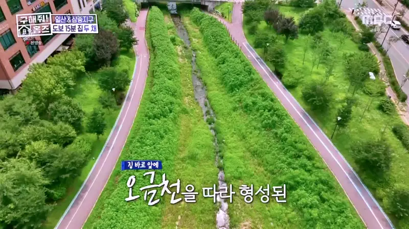 구해줘홈즈 고양시 덕양구 오금동 프로 리모델링 파일러 하우스 매물 가격 및 구조 인테리어 리모델링 소개