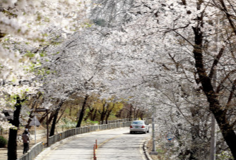 그랜드-워커힐-호텔