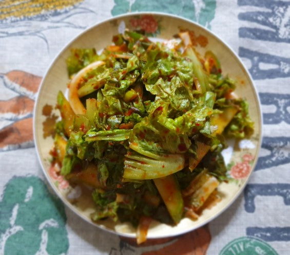 상추 효능 7가지 및 상추 겉절이 만드는법 황금레시피