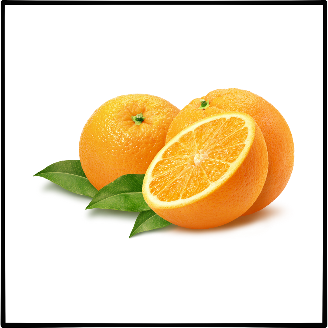 어지럼증 치료 약 어지럼증에 좋은 음식