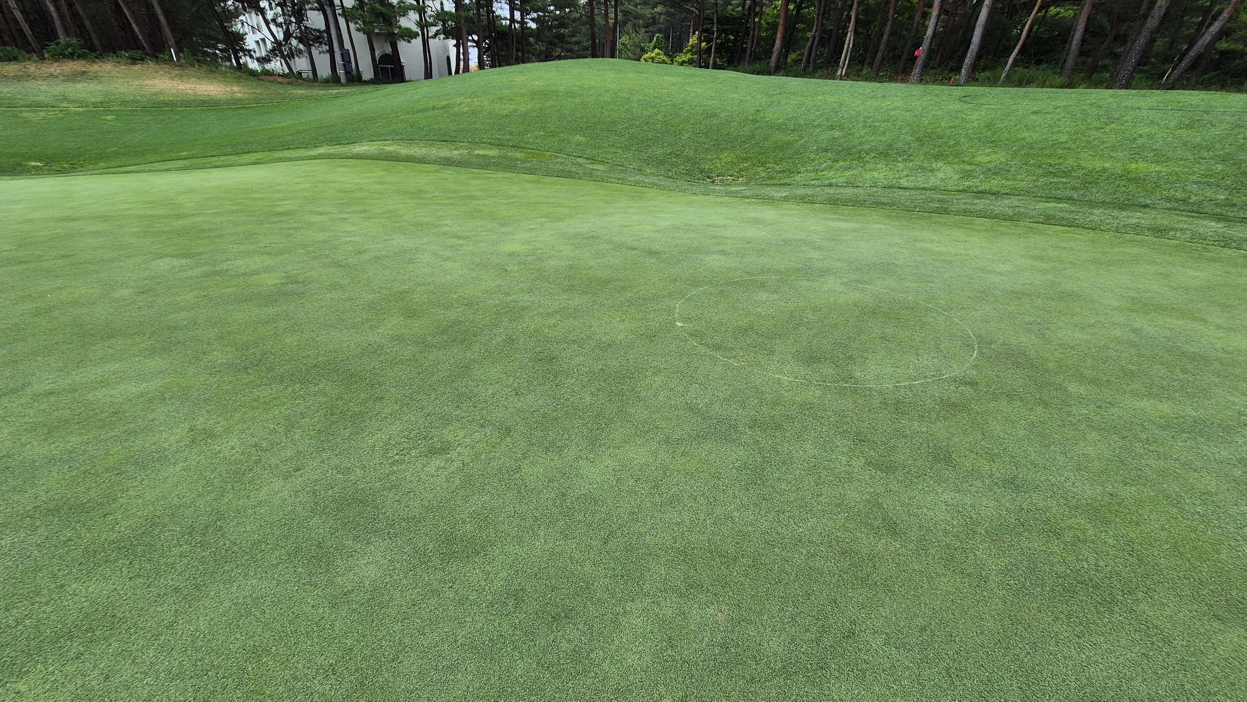 파인리즈cc 라운드 후기