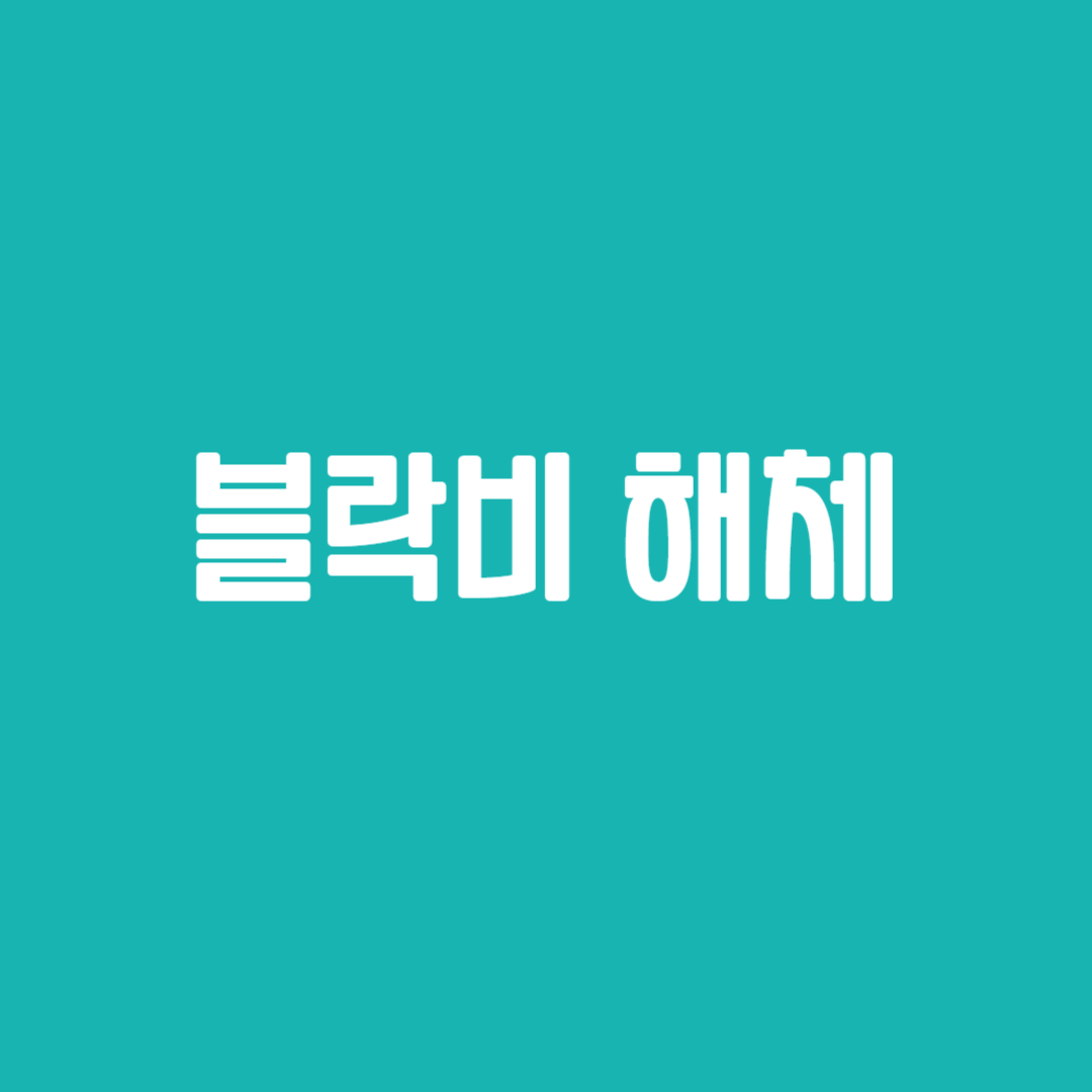블락비 해체