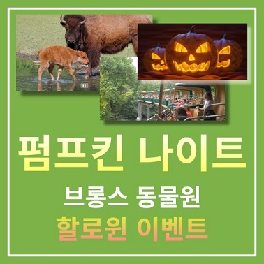 브롱스 동물원 할로윈 이벤트