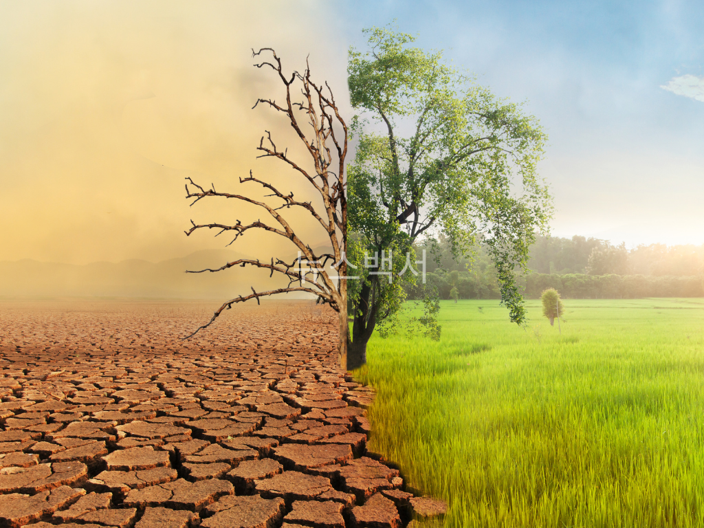 농업의 위기 – 익숙한 작물들이 더 이상 자라지 않는다
