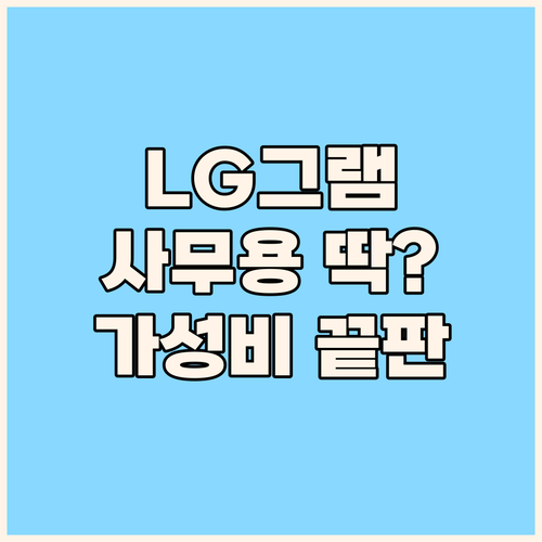 가성비 끝판왕 LG그램! 사무용으로 ..