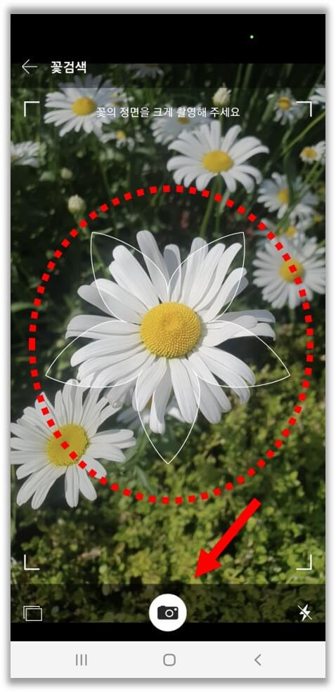 식물-사진-촬영