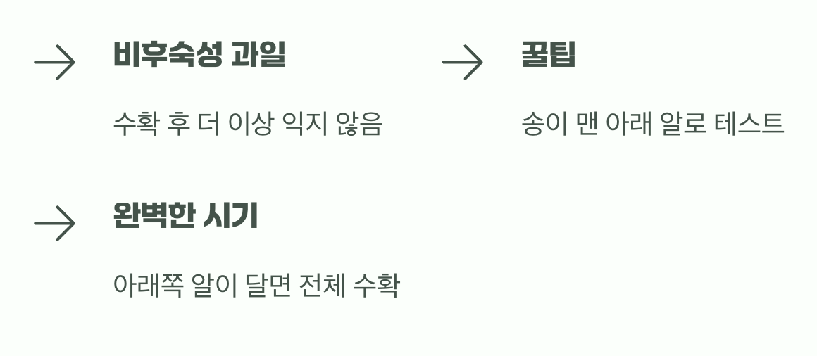 가장 확실한 마지막 관문&amp;#44; 시식