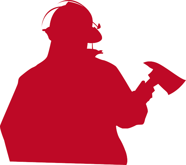 취업 관련 사진