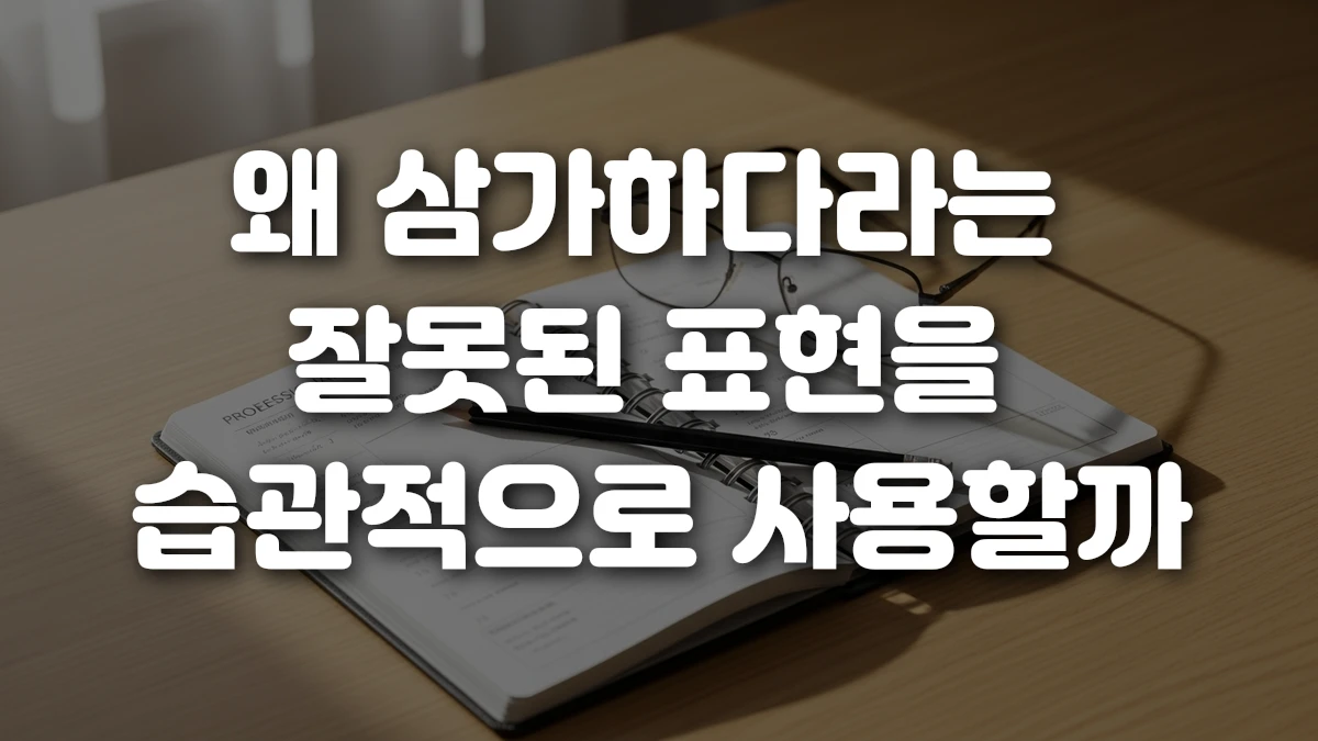 왜 삼가하다라는 잘못된 표현을 습관적으로 사용할까