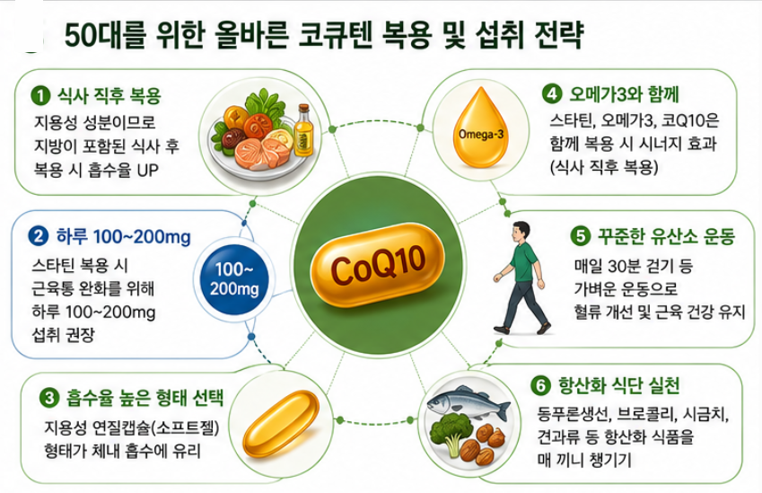 50대를 위한 올바른 코큐텐 복용 및 섭취 전략 일러스트
